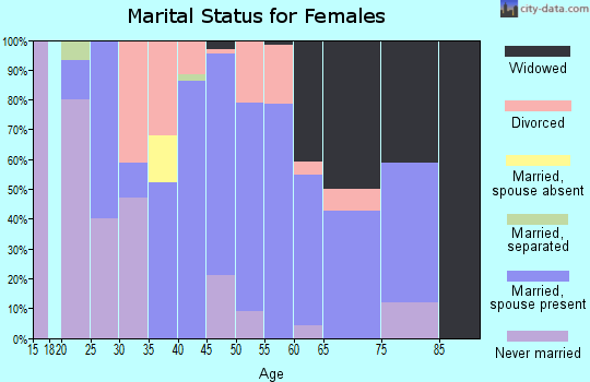 Zip code 24226 marital status for females