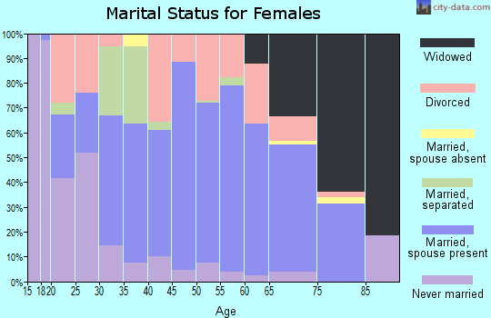 Zip code 24228 marital status for females