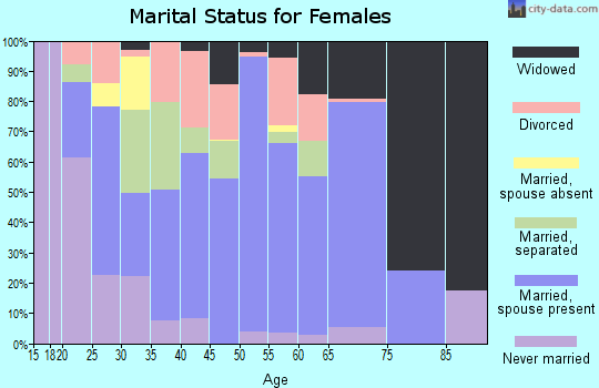 Zip code 24230 marital status for females
