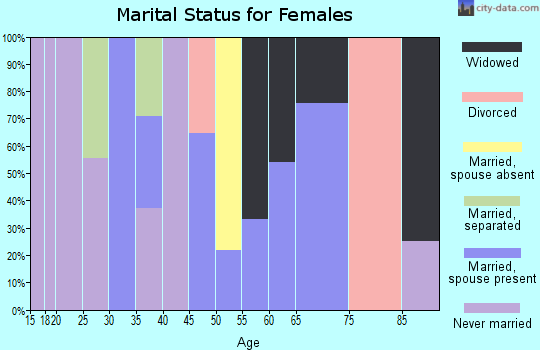 Zip code 24237 marital status for females