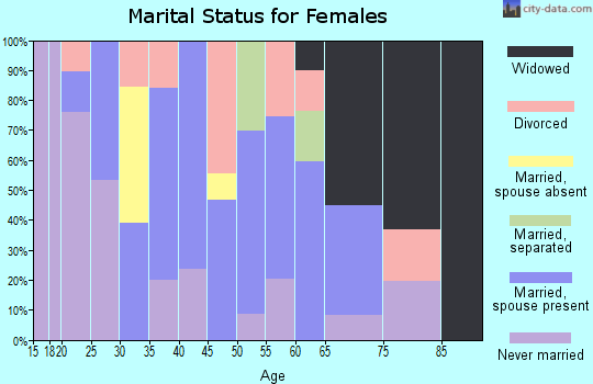 Zip code 24243 marital status for females