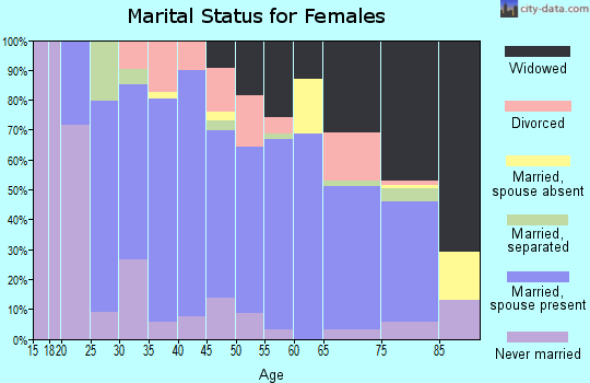 Zip code 24244 marital status for females