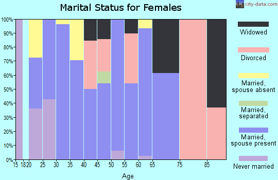 Zip code 24245 marital status for females