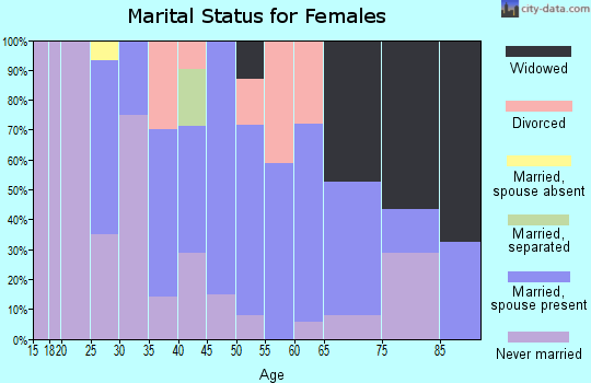 Zip code 24248 marital status for females