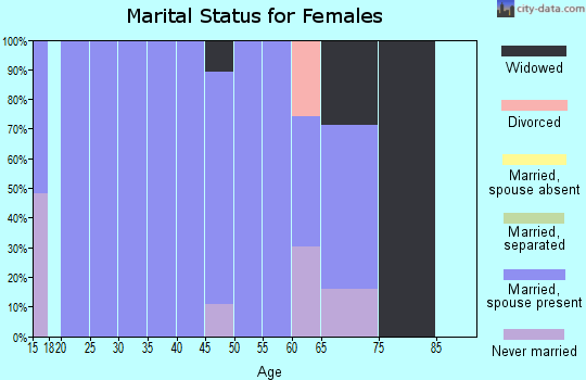 Zip code 24250 marital status for females