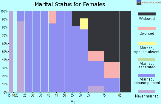 Zip code 24258 marital status for females