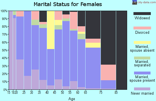 Zip code 24260 marital status for females