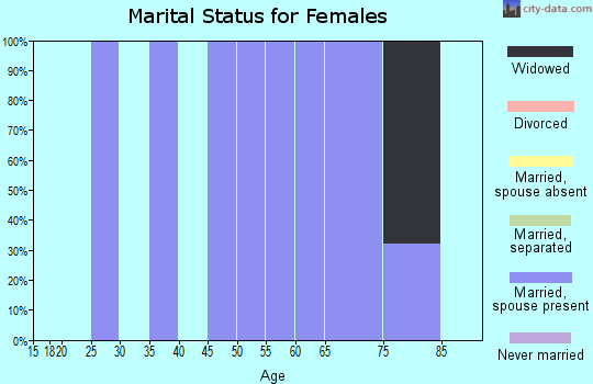 Zip code 24270 marital status for females