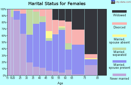 Zip code 24273 marital status for females