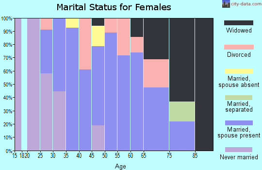 Zip code 24281 marital status for females