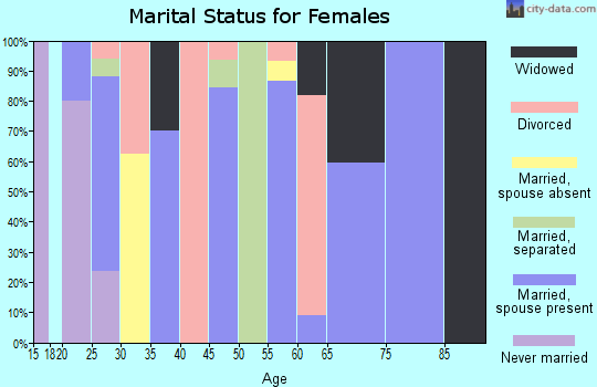 Zip code 24282 marital status for females