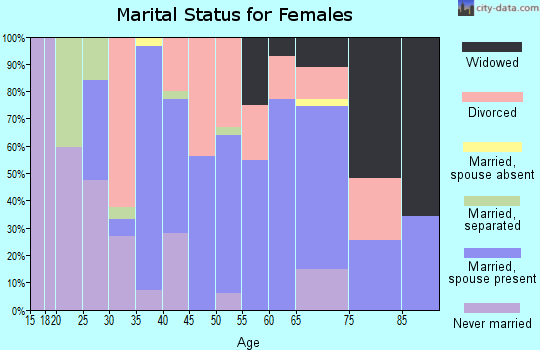 Zip code 24290 marital status for females