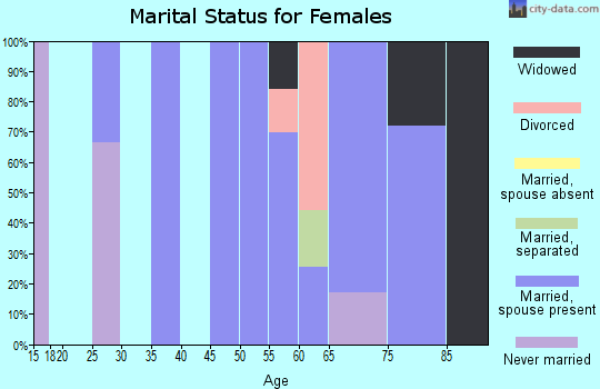 Zip code 24292 marital status for females