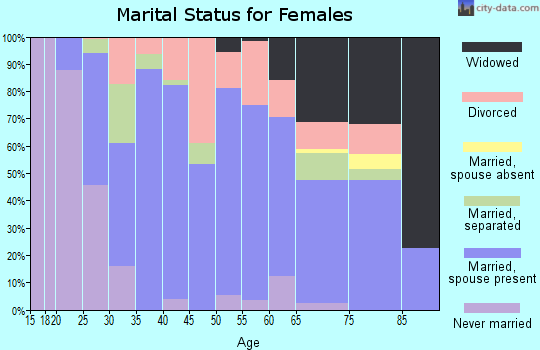 Zip code 24293 marital status for females