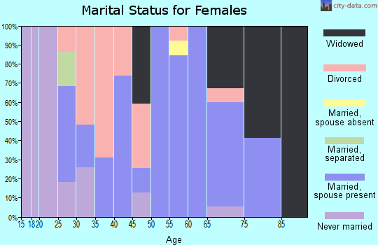 Zip code 24311 marital status for females