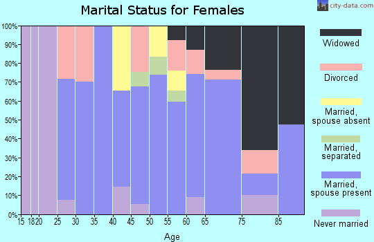 Zip code 24315 marital status for females