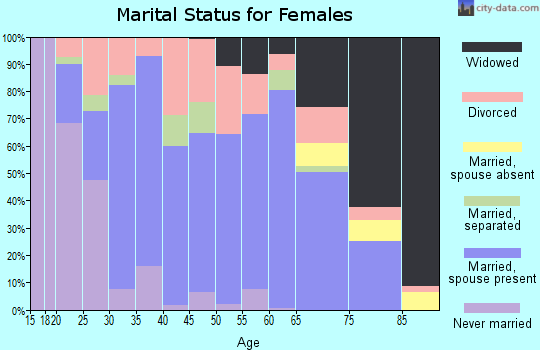 Zip code 24319 marital status for females