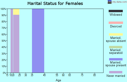 Zip code 24327 marital status for females