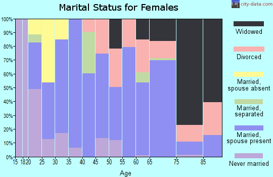 Zip code 24330 marital status for females