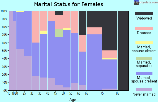 Zip code 24340 marital status for females