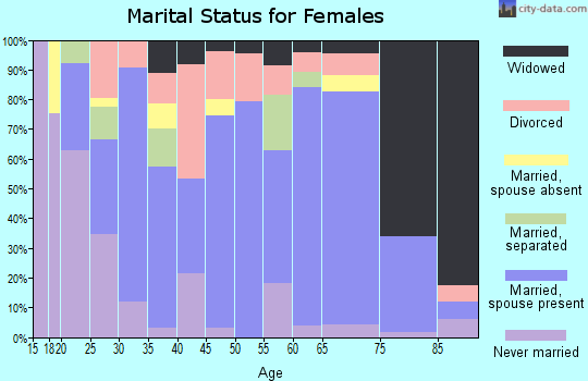 Zip code 24343 marital status for females
