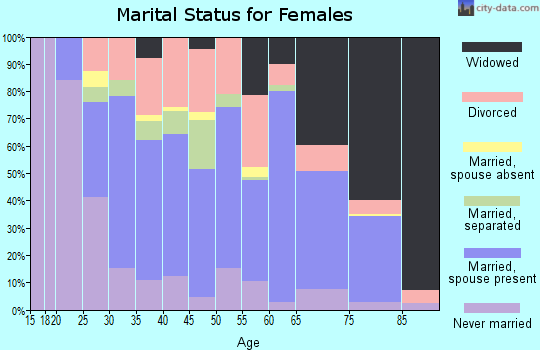 Zip code 24354 marital status for females