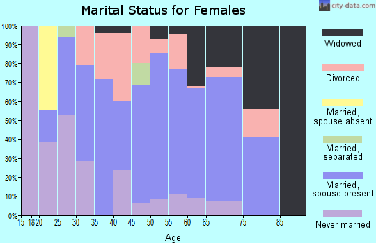 Zip code 24360 marital status for females