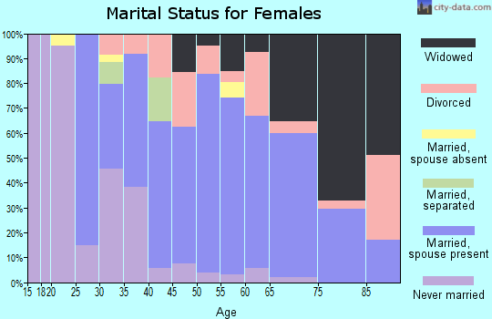 Zip code 24361 marital status for females