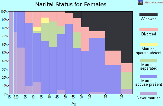 Zip code 24368 marital status for females