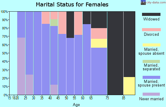 Zip code 24380 marital status for females