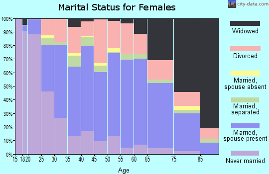 Zip code 24401 marital status for females