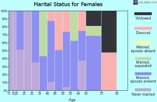 Zip code 24431 marital status for females