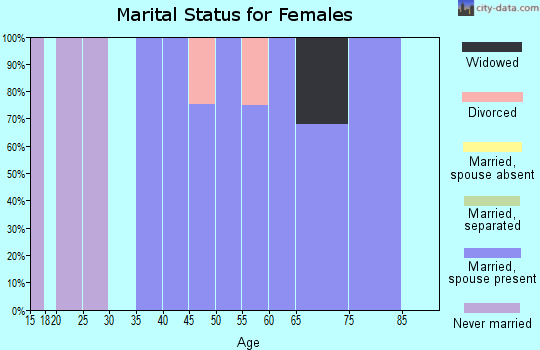 Zip code 24437 marital status for females