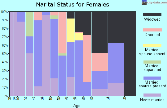 Zip code 24439 marital status for females