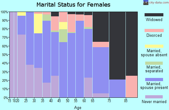 Zip code 24441 marital status for females