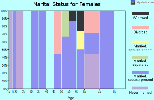 Zip code 24473 marital status for females