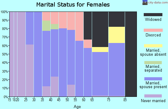 Zip code 24482 marital status for females
