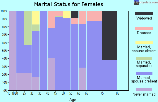 Zip code 24486 marital status for females