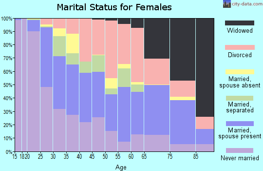 Zip code 24501 marital status for females