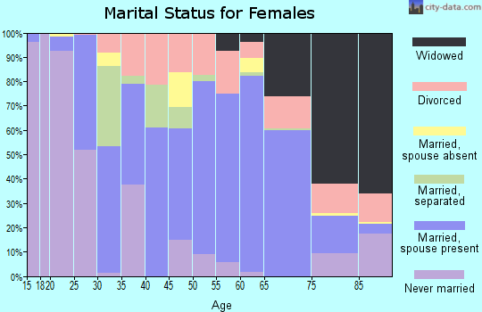 Zip code 24522 marital status for females