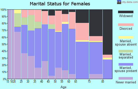 Zip code 24523 marital status for females