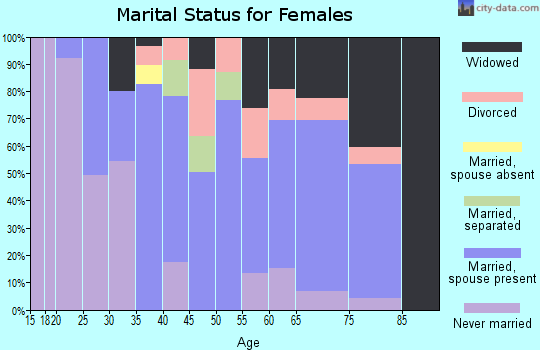 Zip code 24528 marital status for females