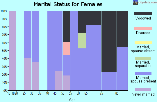 Zip code 24529 marital status for females