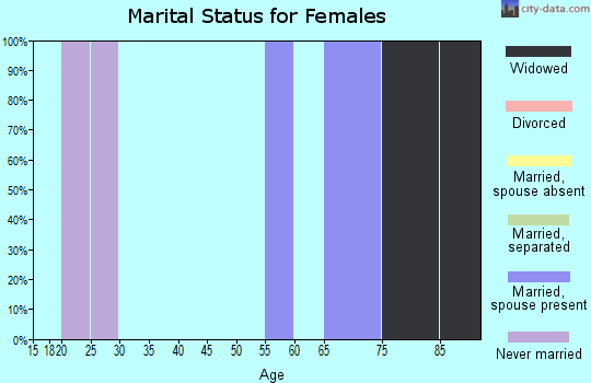 Zip code 24536 marital status for females