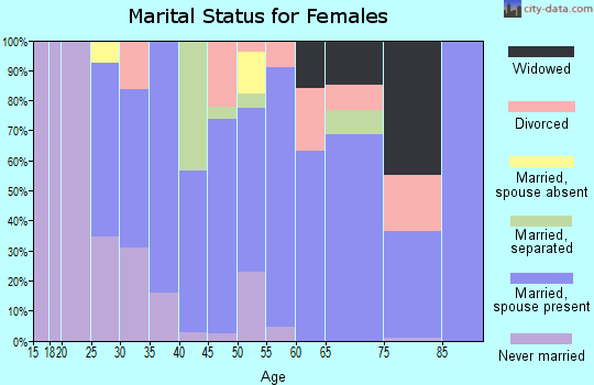 Zip code 24538 marital status for females