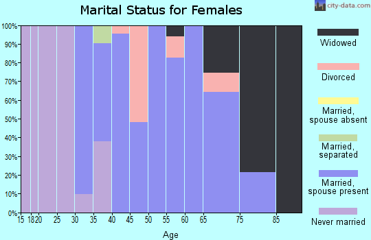 Zip code 24556 marital status for females
