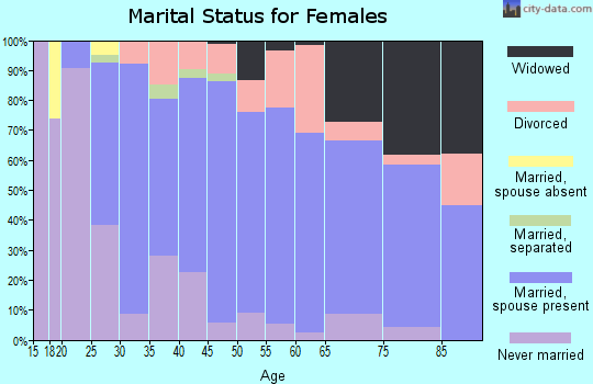 Zip code 24563 marital status for females