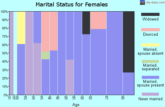 Zip code 24566 marital status for females
