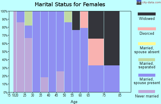 Zip code 24571 marital status for females