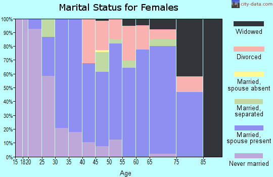 Zip code 24588 marital status for females